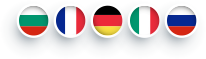 Translation Languages